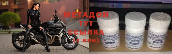 сатива Беломорск