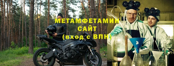 сатива Беломорск