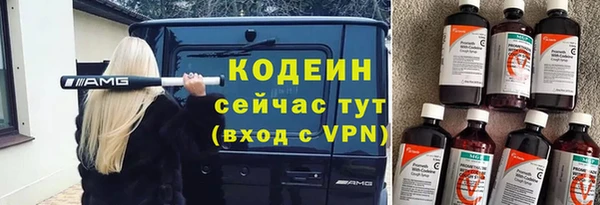 сатива Беломорск