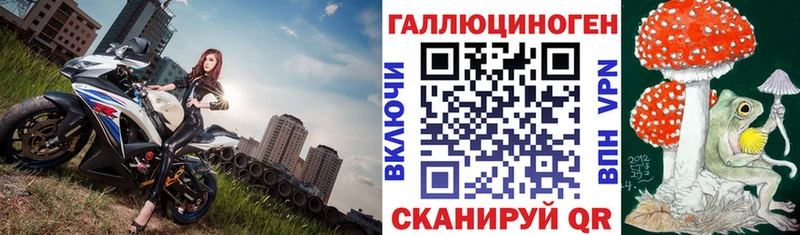 Псилоцибиновые грибы ЛСД  Купить закладки  Городец 
